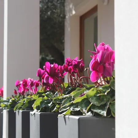 安格拉斯酒店 阿尔盖罗