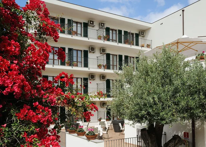 安格拉斯酒店 3* 阿尔盖罗